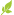 Leaf_tiny3 Leaf_tiny3